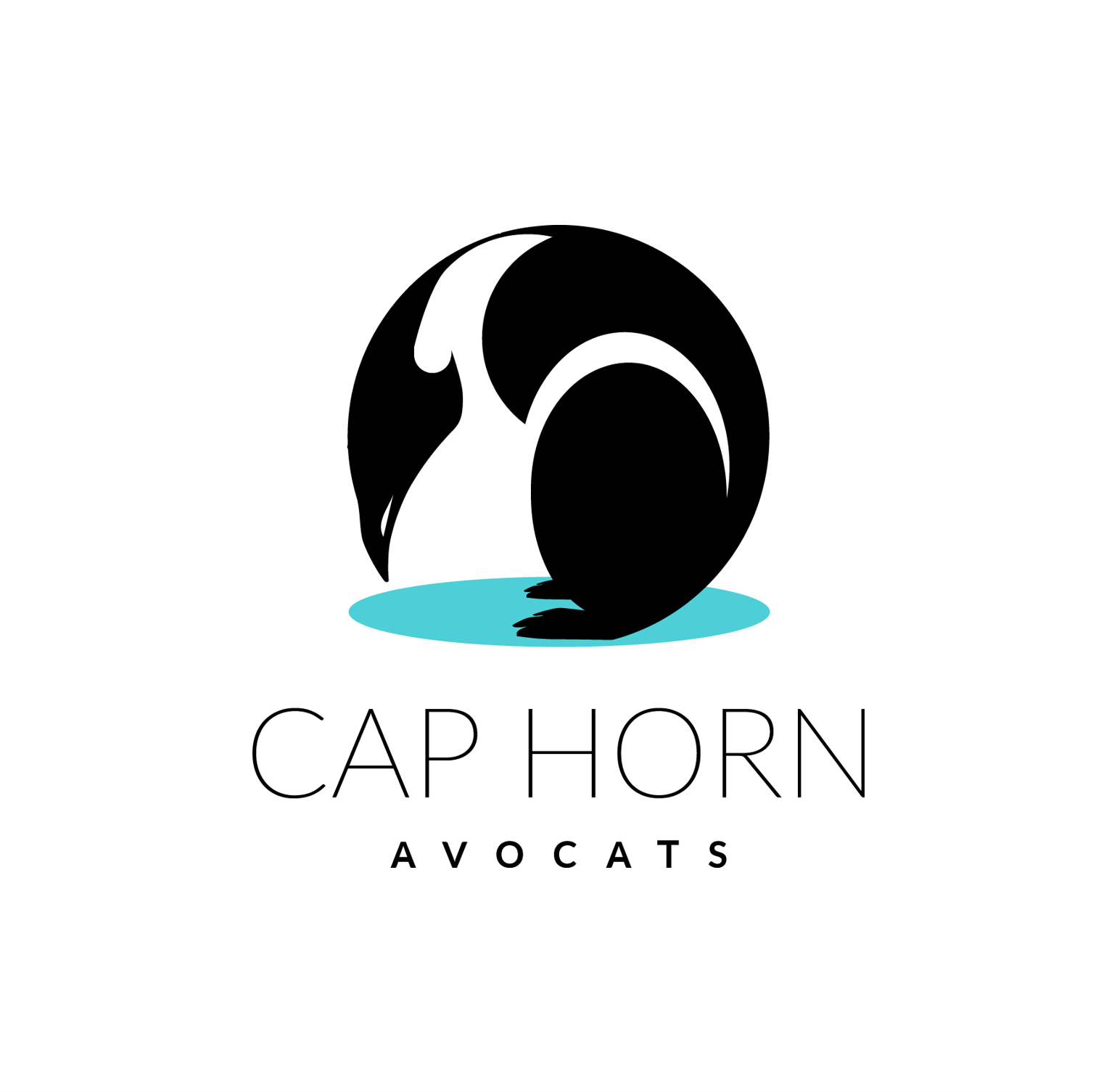 Cap Horn